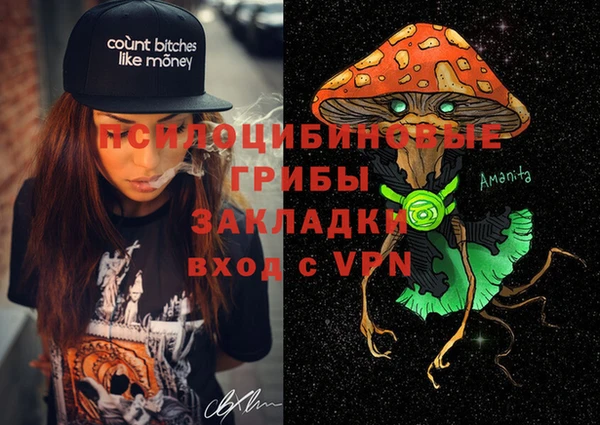 мдпв Горняк