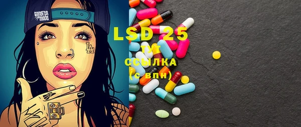 PSILOCYBIN Вязники
