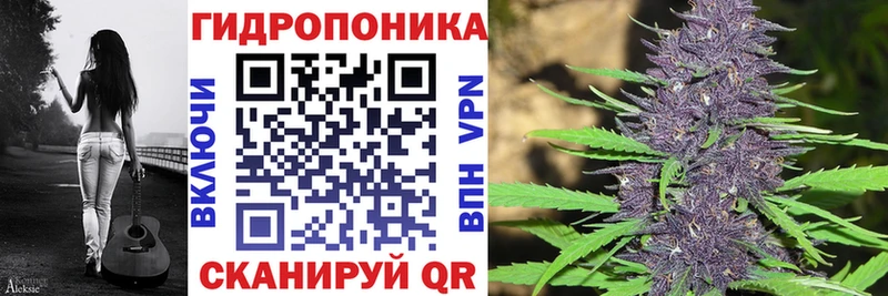 Бошки Шишки Bruce Banner  Железноводск 